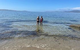 Beachside Taroona With Spa